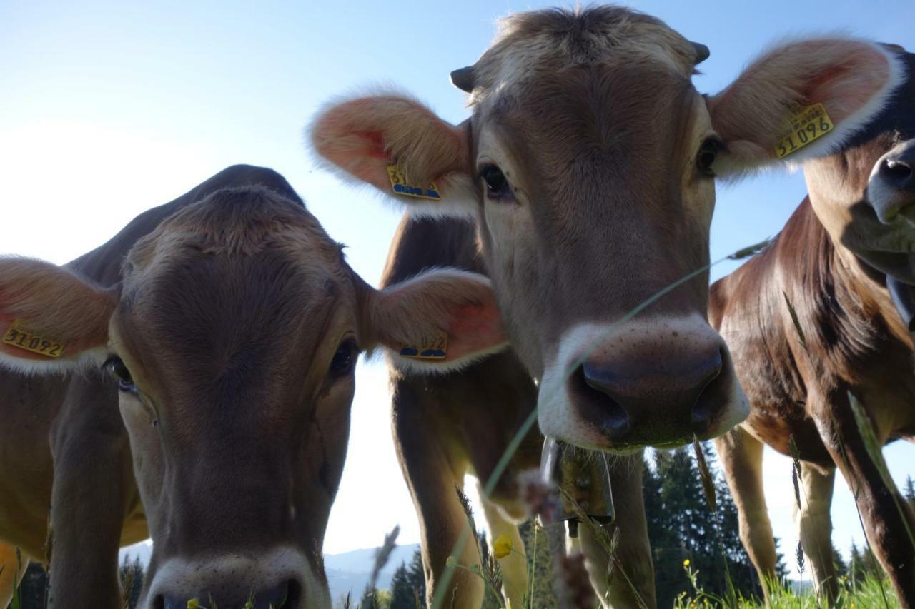 Ferienwohnungen Bernie Schmid Sonthofen Exterior foto